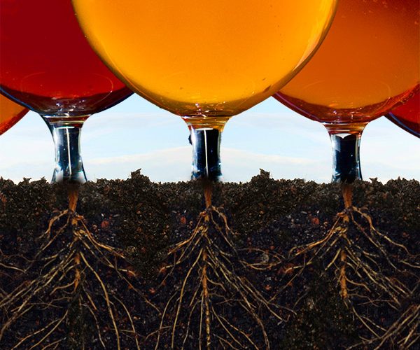 Roots of American Craft Brewing