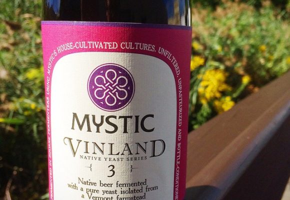 Mystic Brewery Vinland