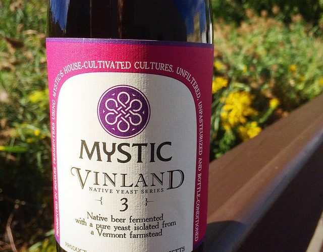 Mystic Brewery Vinland