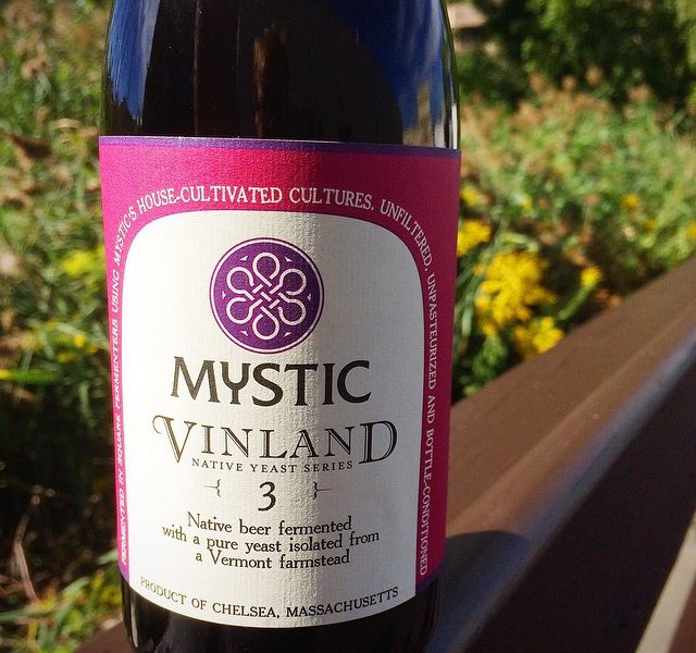 Mystic Brewery Vinland