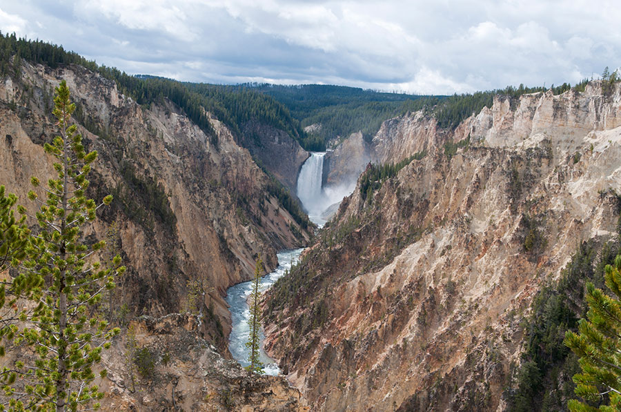 Craft Beer Yellowstone Tetons