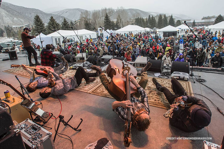 Winter Beer festivials