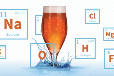 beer water chemistry calculator