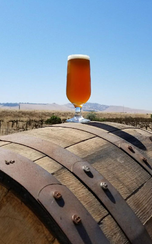 north central california breweries