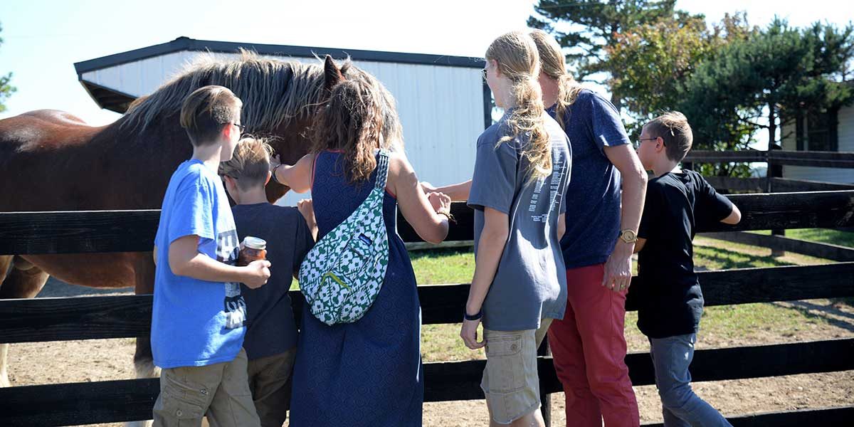 Stable Craft Brewing horses