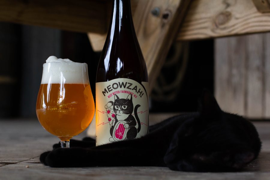 CatThemed Craft Beers to Get Your Paws On