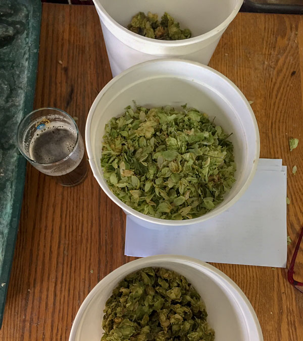 Smithsonian grown hops