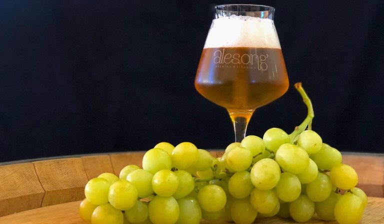 Alesong Brewing's Visions