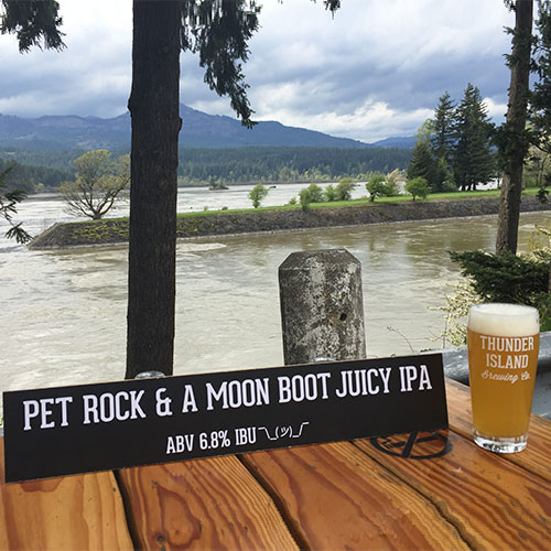 Pet Rock Moon Boot Juicy IPA