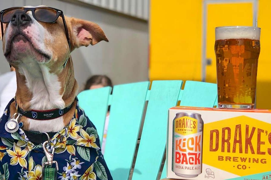 drakes kick back session ipa