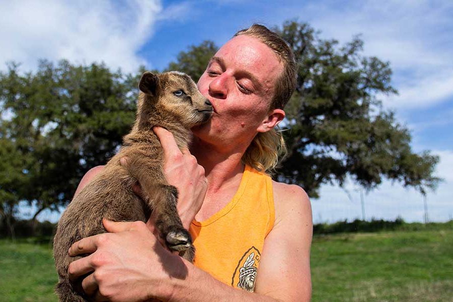 jester king brewing goats