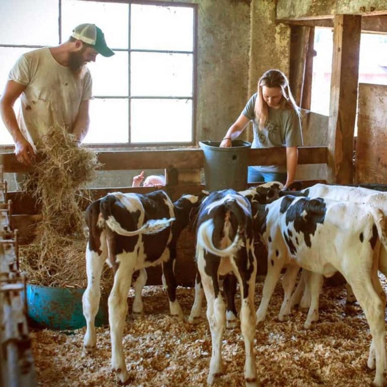 Livestock and Lager Breweries Raise Animals and Agricultural Awareness