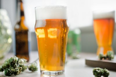 cold ipa with fresh hops