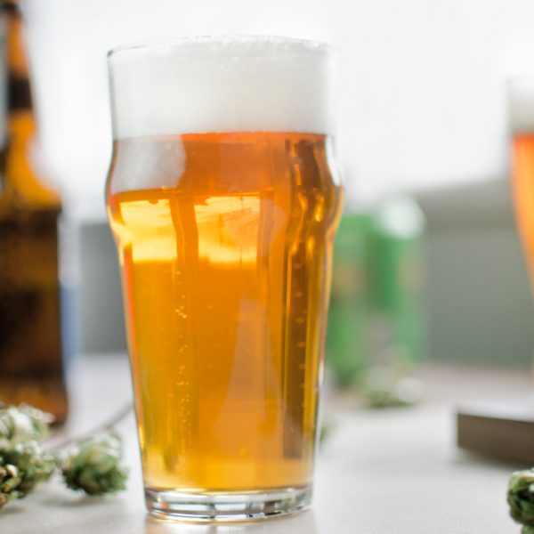 cold ipa with fresh hops