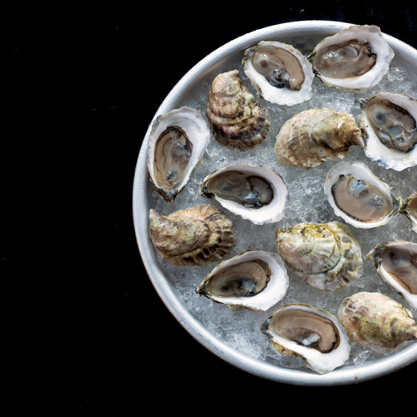 bowl of oysters on ice