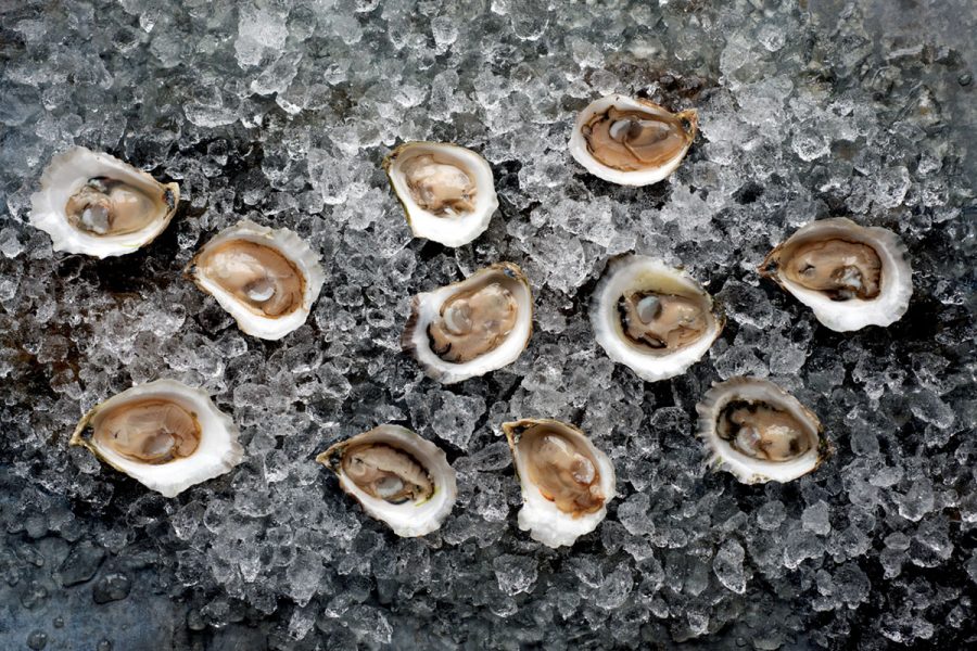 fresh oysters on ice