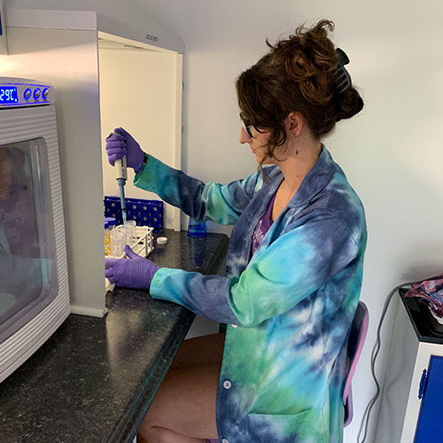 woman working with test tubes in beer quality lab