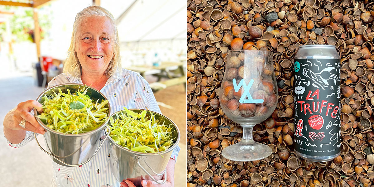woman processing foraged ingredients and hazelnut beer