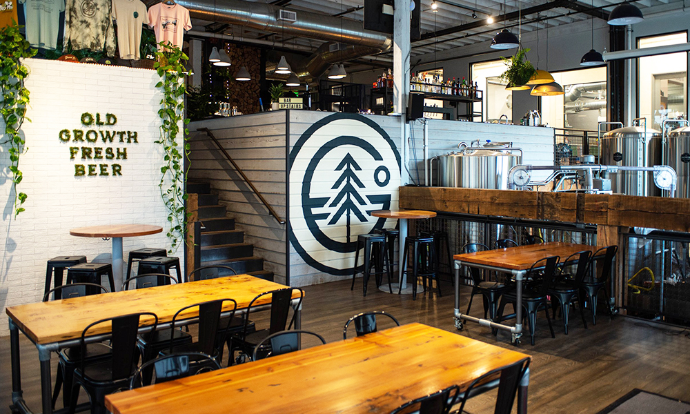 Old Growth Brewing Grand Fir Taproom Interior