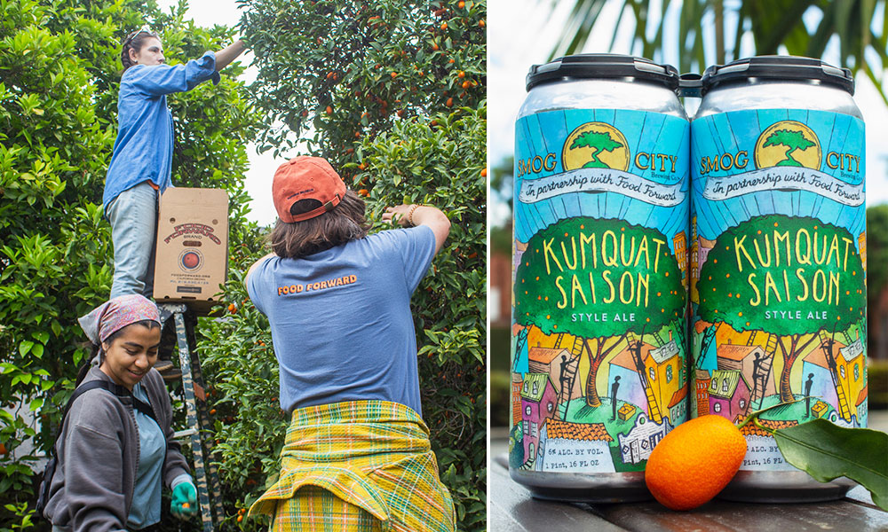 dual image of women picking kumquats and kumquat saison in cans