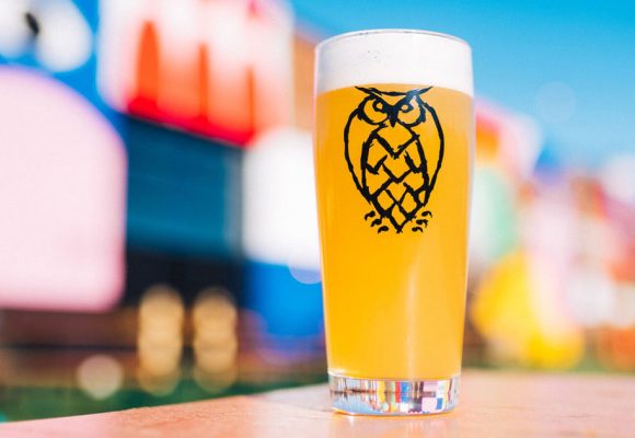 hazy beer in glass with owl logo against abstract colorful blurry background