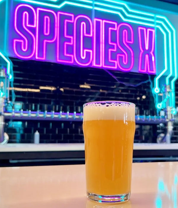 species x neon sign with hazy beer