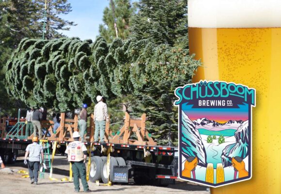 The People's Tree is loaded on a truck and headed to DC with commemorative beer