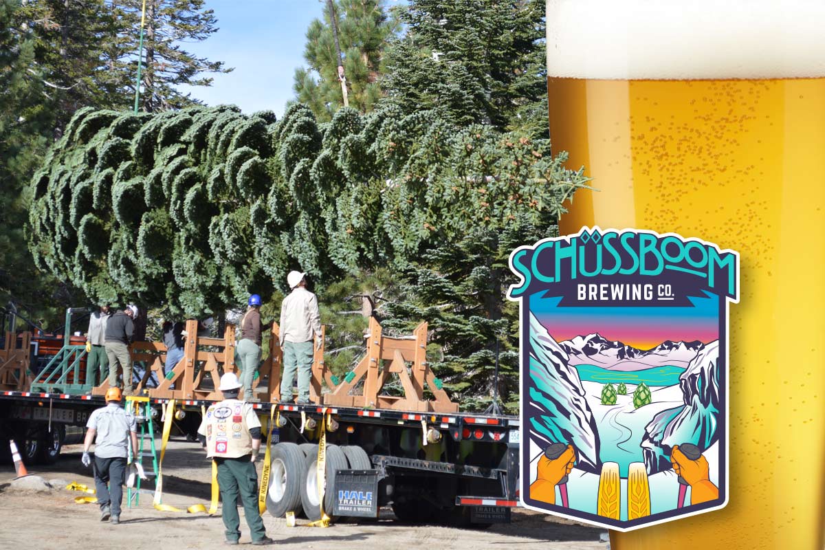 Schussboom Brewing Joins “The People’s Tree” on a Cross-Country Beer Tour