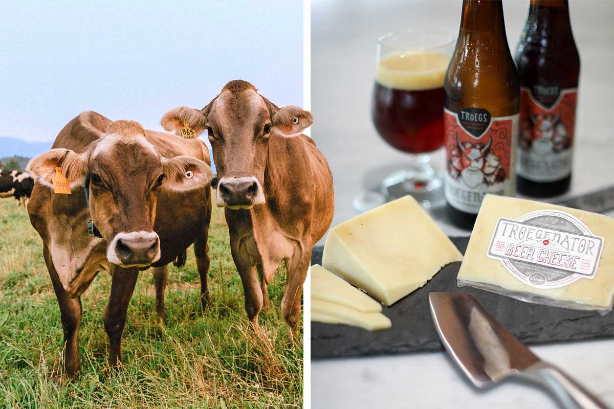 Beer Cheese Is Having a Moment