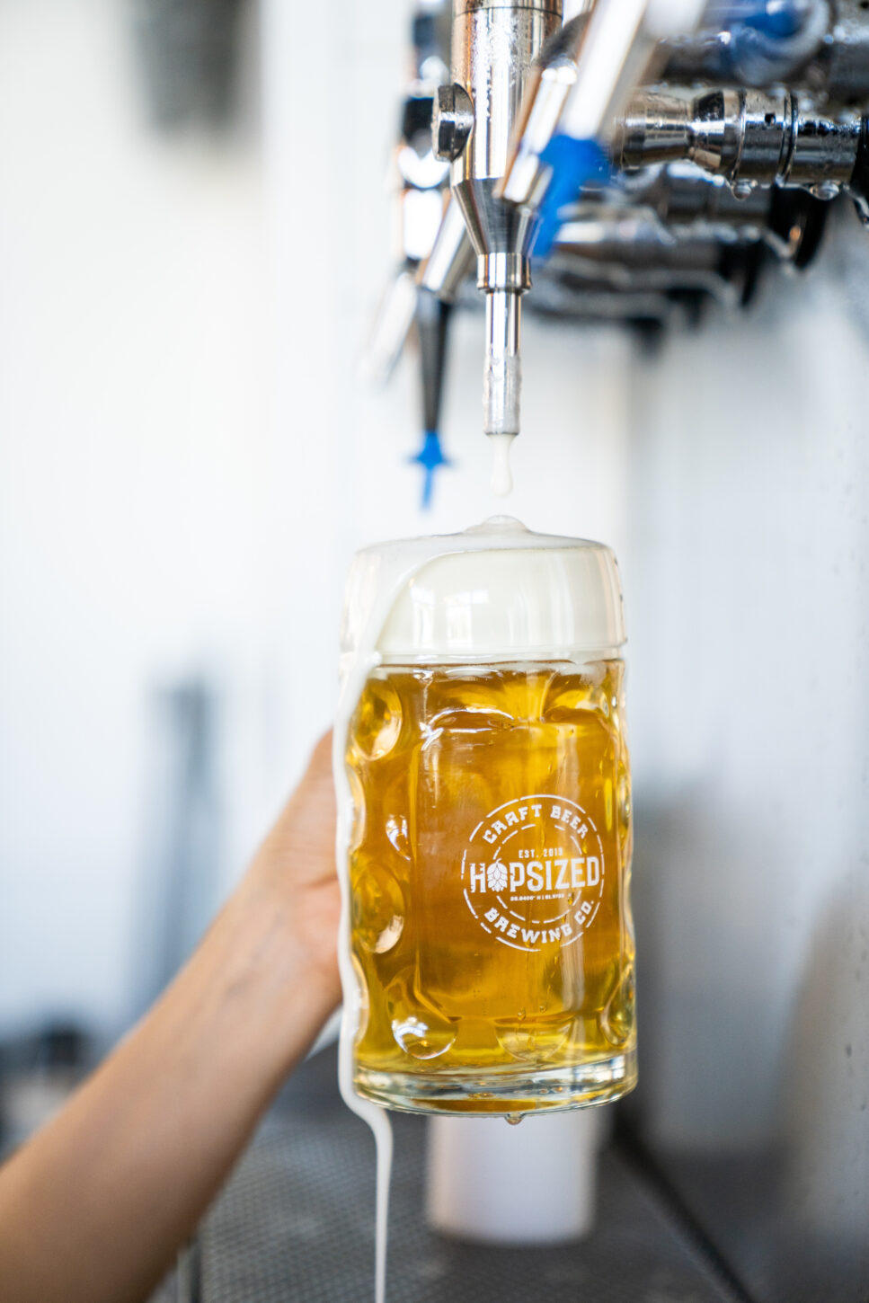 Hopsized Brewing