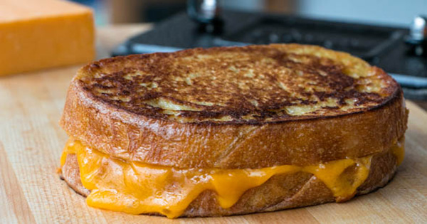 Back Forty Beer Co.'s Beer Cheese Sandwich
