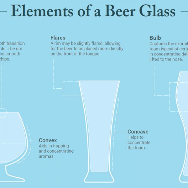 beer glass infographic