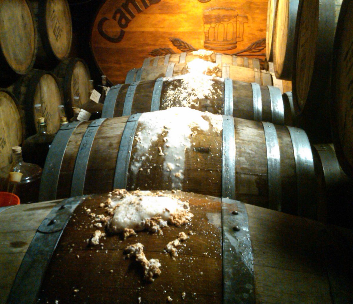 Solera Beer Barrels 