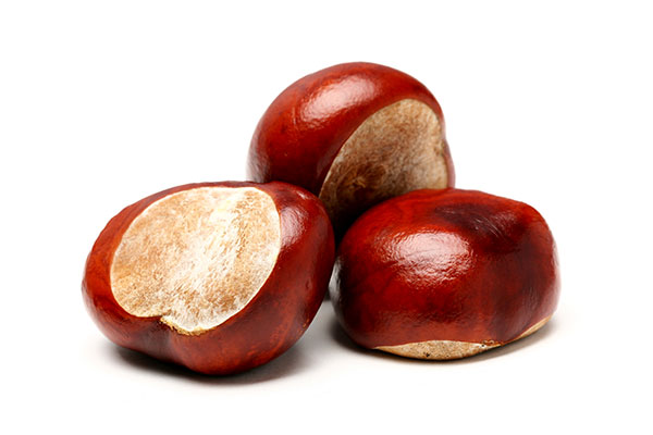 Chestnuts 