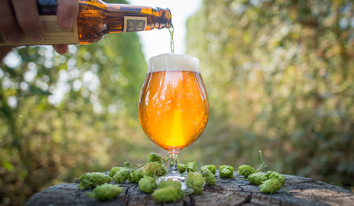 Experimental Hops