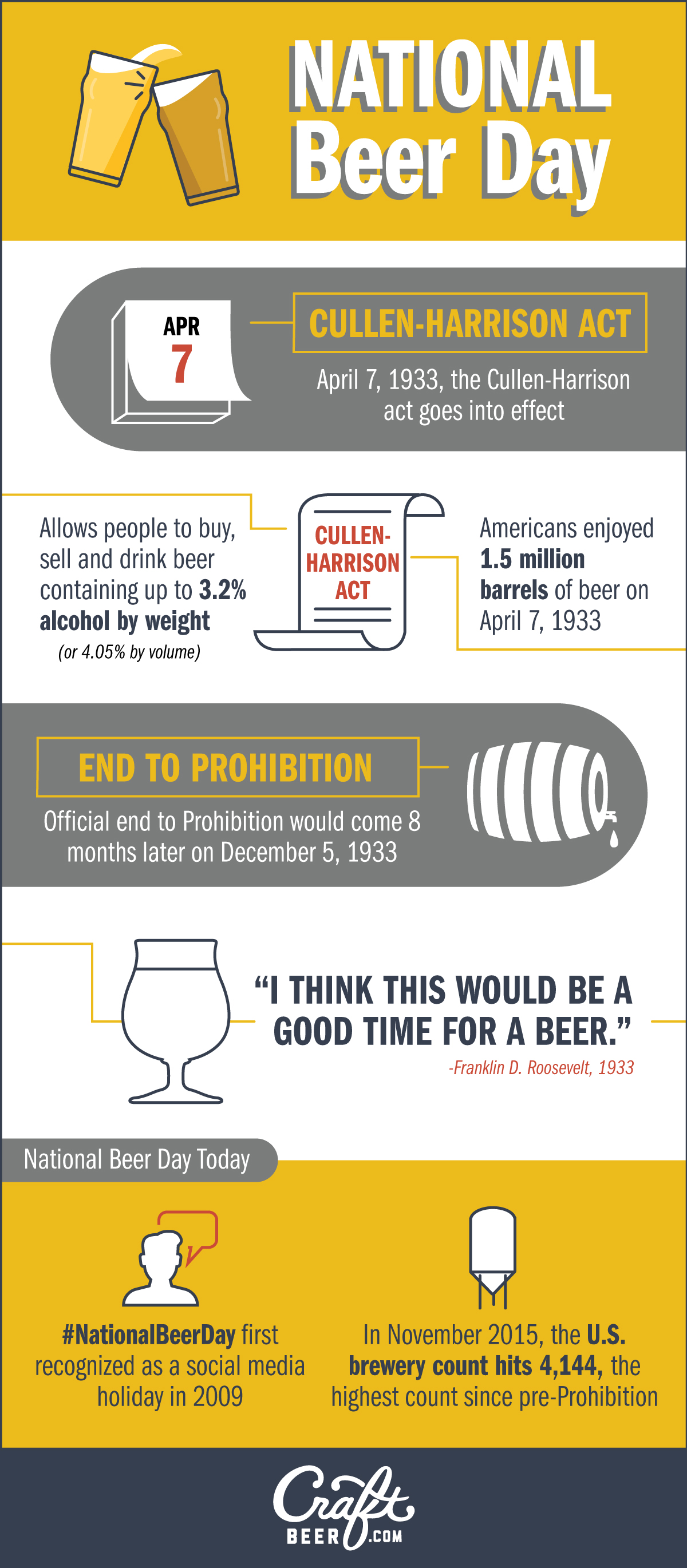 National Beer Day Infographic