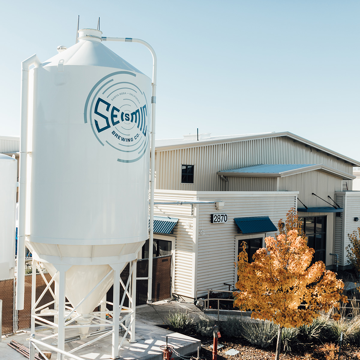 seismic brewing