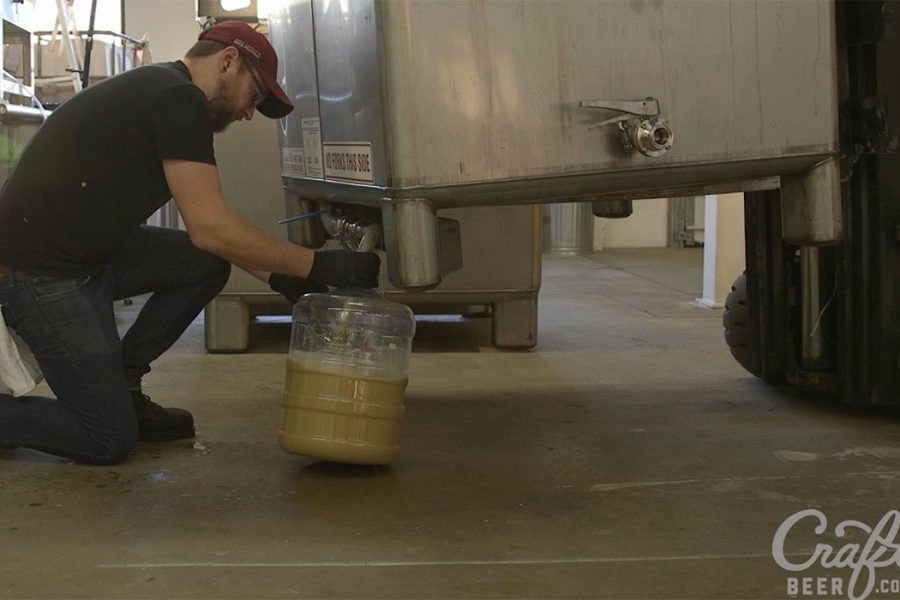 Speciation Artisan Ales