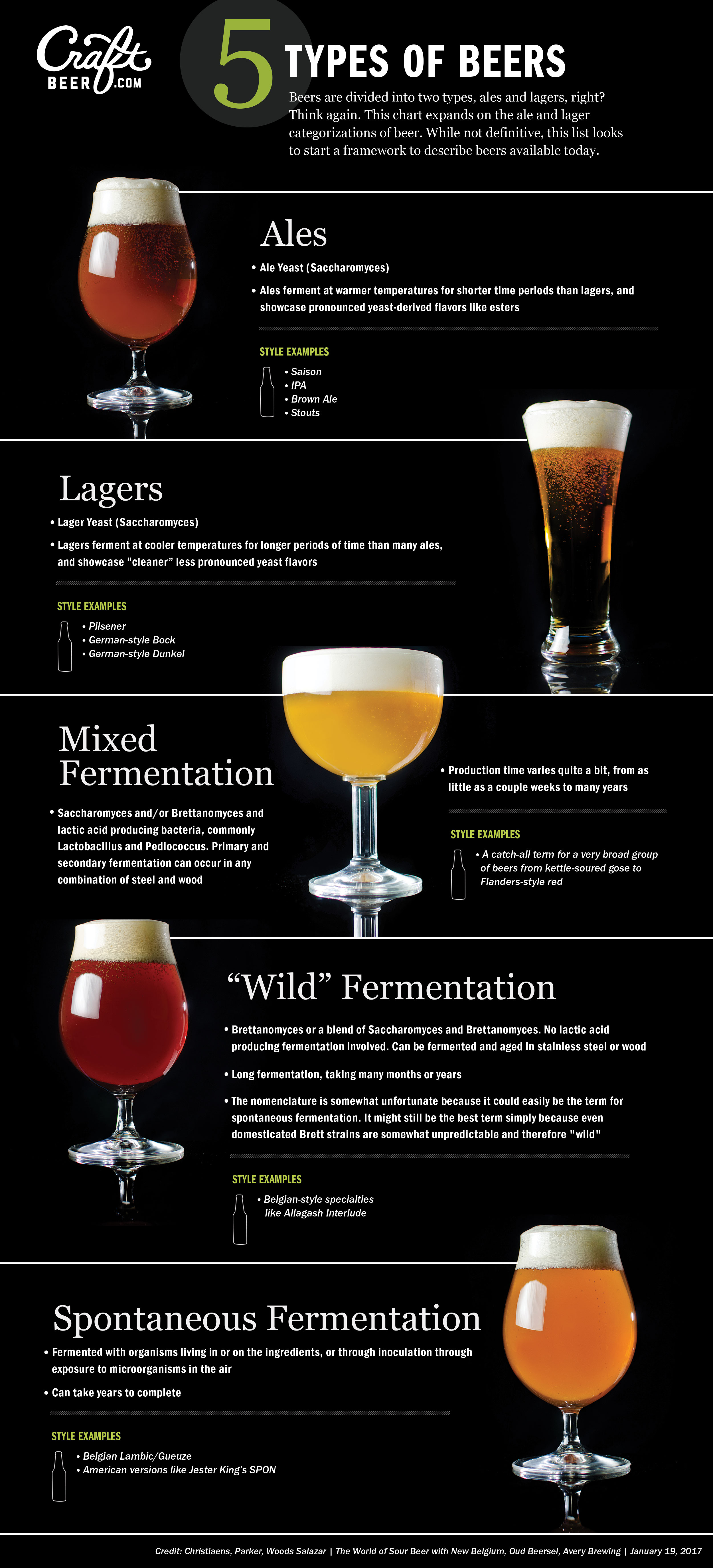 Types of Beer Glasses [Beer 101 Series]