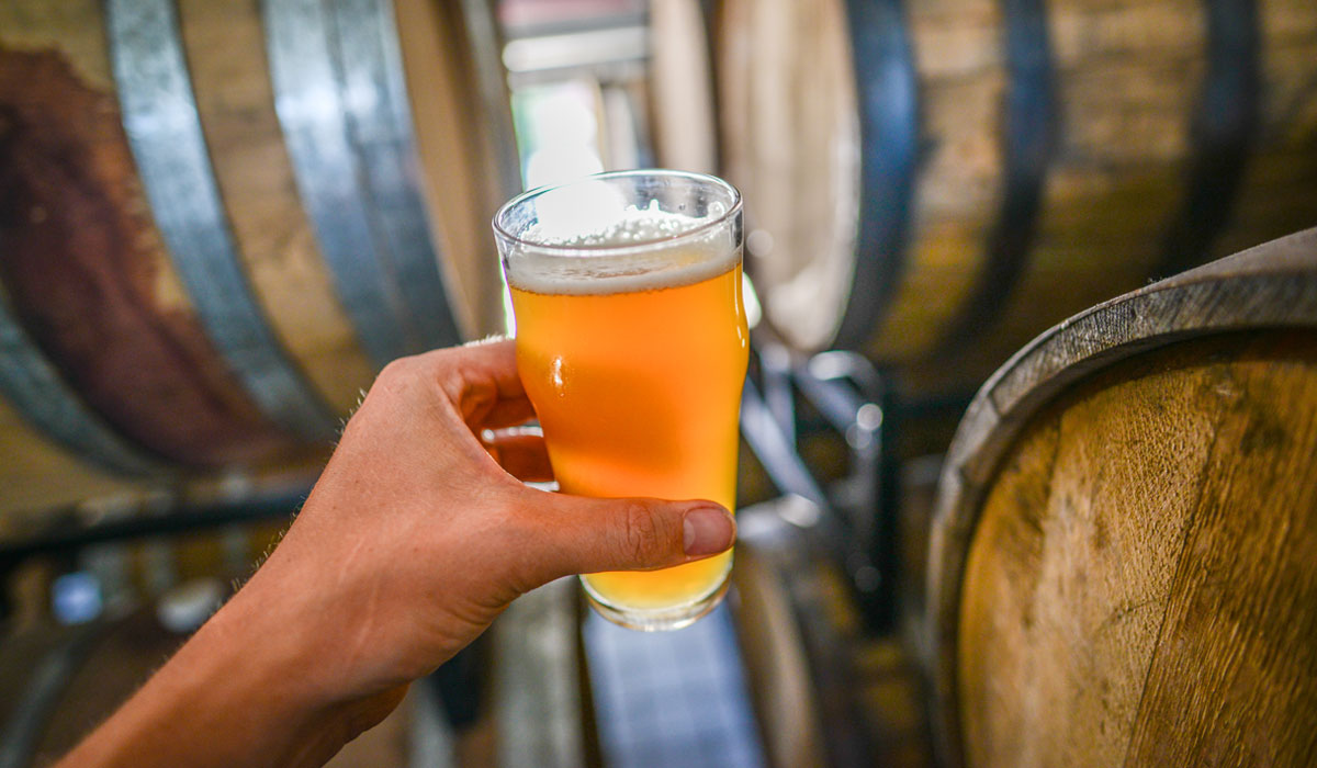 Analysis What Makes A Sour Beer Taste Sour 