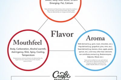 flavor triangle 3_17