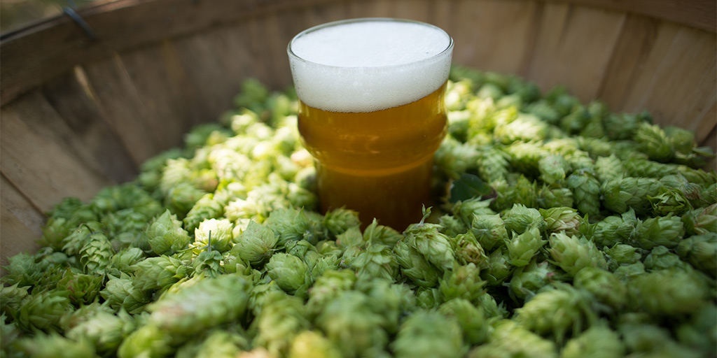 why-are-ipas-still-so-popular