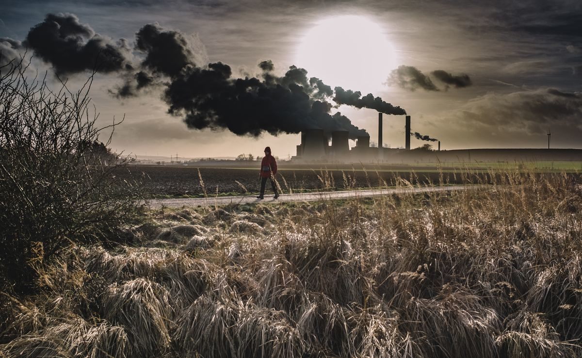 Climate Change's Effect on Beer